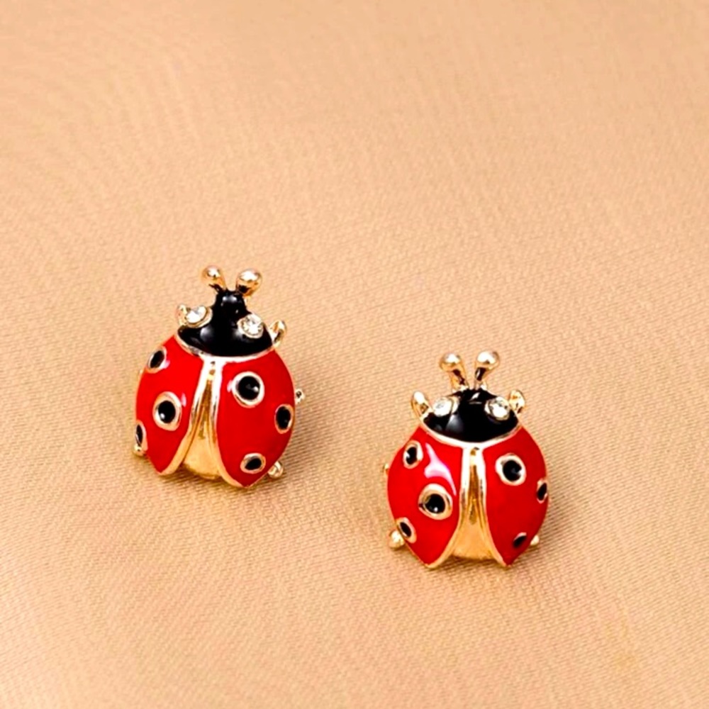 Lady bug 🐞  earrings